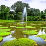 8 Tempat Wisata Gratis di Bogor untuk Liburan Akhir Pekan