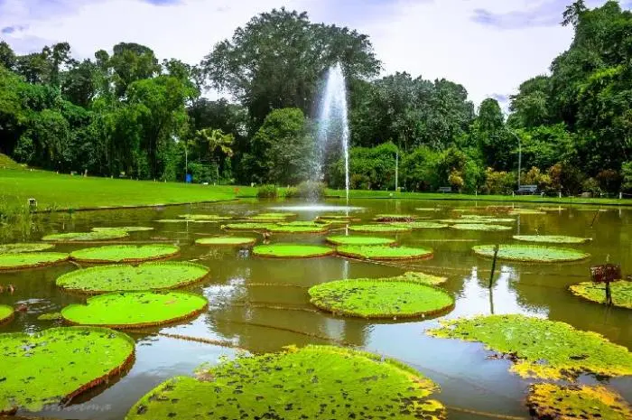 8 Tempat Wisata Gratis di Bogor untuk Liburan Akhir Pekan