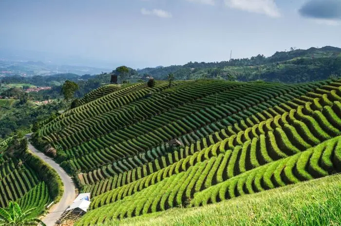 10 Tempat Wisata di Majalengka yang Memadukan Keindahan Alam & Wahana Seru